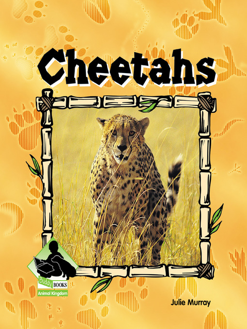 Cover image for Cheetahs